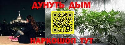 индика Краснодар