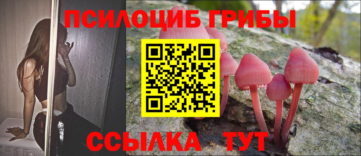 Галлюциногенные грибы Psilocybine cubensis  Галлюциногенные грибы ЛСД  Красноуфимск  Вход с VPN 